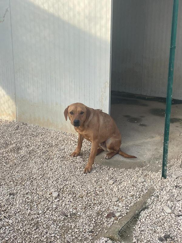 LA BELLISSIMA AMERICA Foto 4